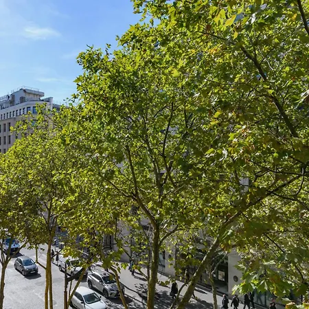 Center Colisee Paris